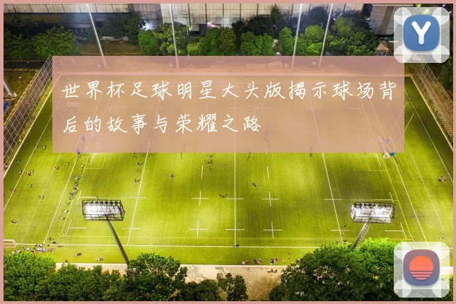 世界杯足球明星大头版揭示球场背后的故事与荣耀之路