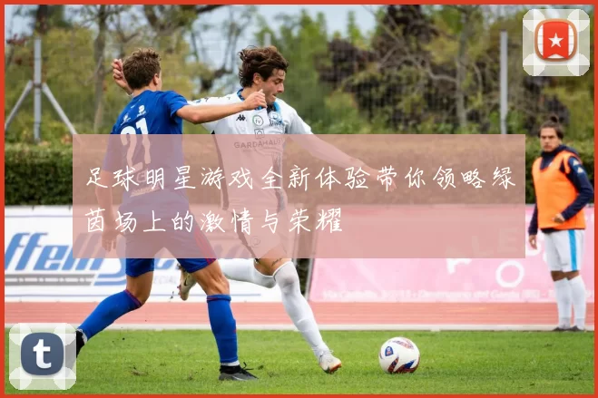 足球明星游戏全新体验带你领略绿茵场上的激情与荣耀
