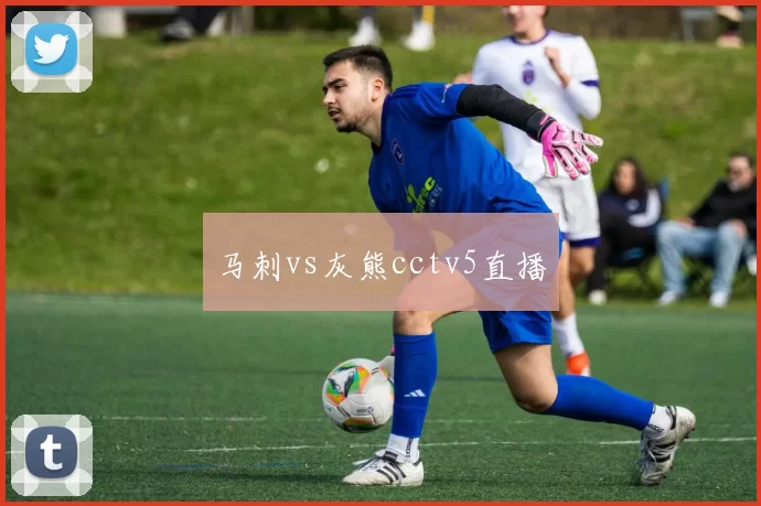 马刺vs灰熊cctv5直播