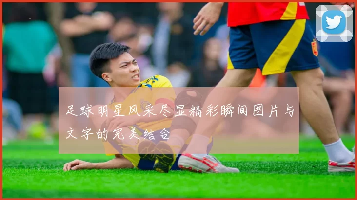 足球明星风采尽显精彩瞬间图片与文字的完美结合