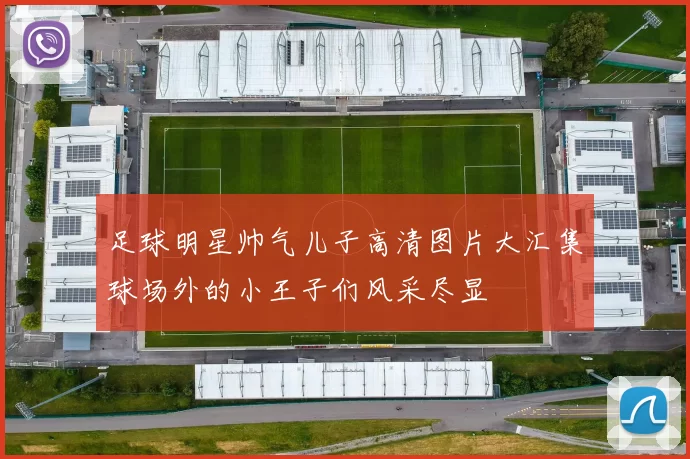 足球明星帅气儿子高清图片大汇集球场外的小王子们风采尽显