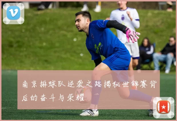 南京排球队逆袭之路揭秘世锦赛背后的奋斗与荣耀